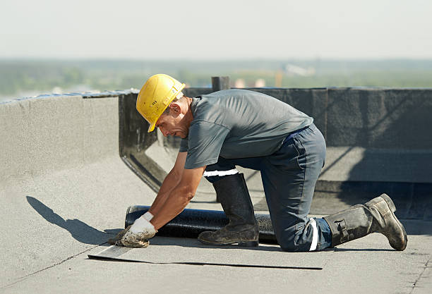 Best Commercial Insulation in Prairie Grove, AR
