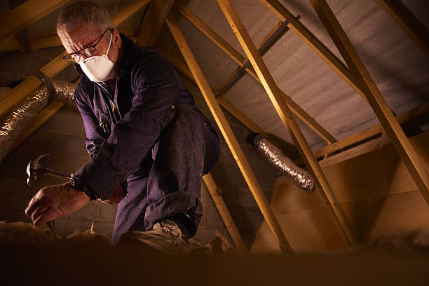 Best Specialty Insulation in Prairie Grove, AR