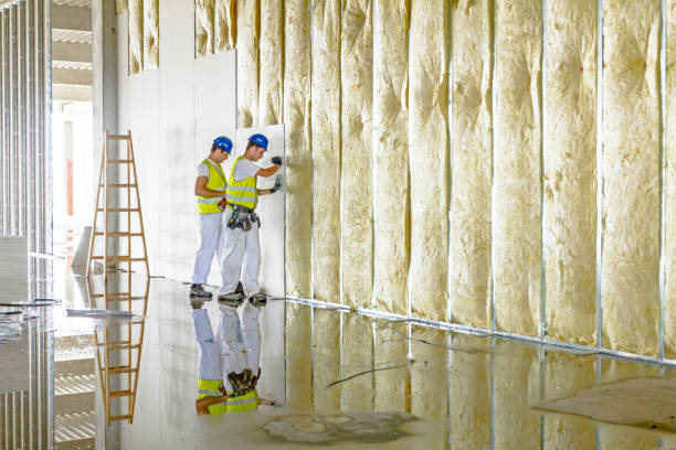 Types of Insulation We Offer in AR